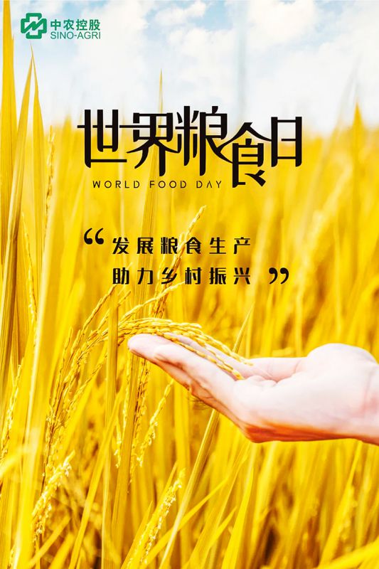 世界粮食日_副本